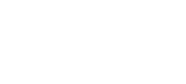 NFON Gold Partner